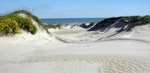 Padre_Island_National_Seashore_-_sand_dunes3