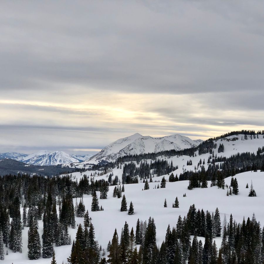 crested butte